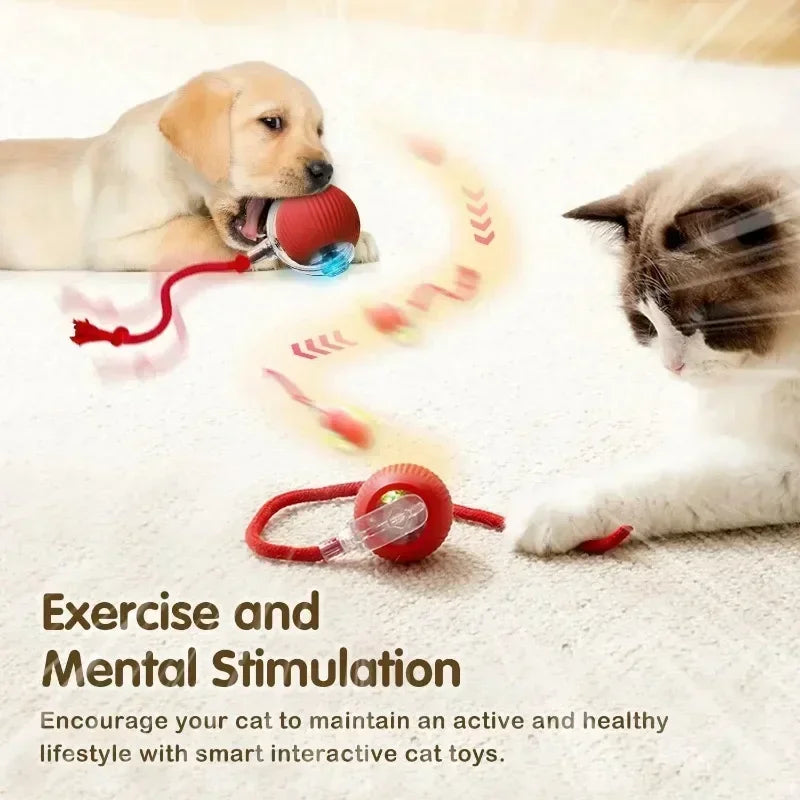 New WhirlTail - Interactive Cat Toy