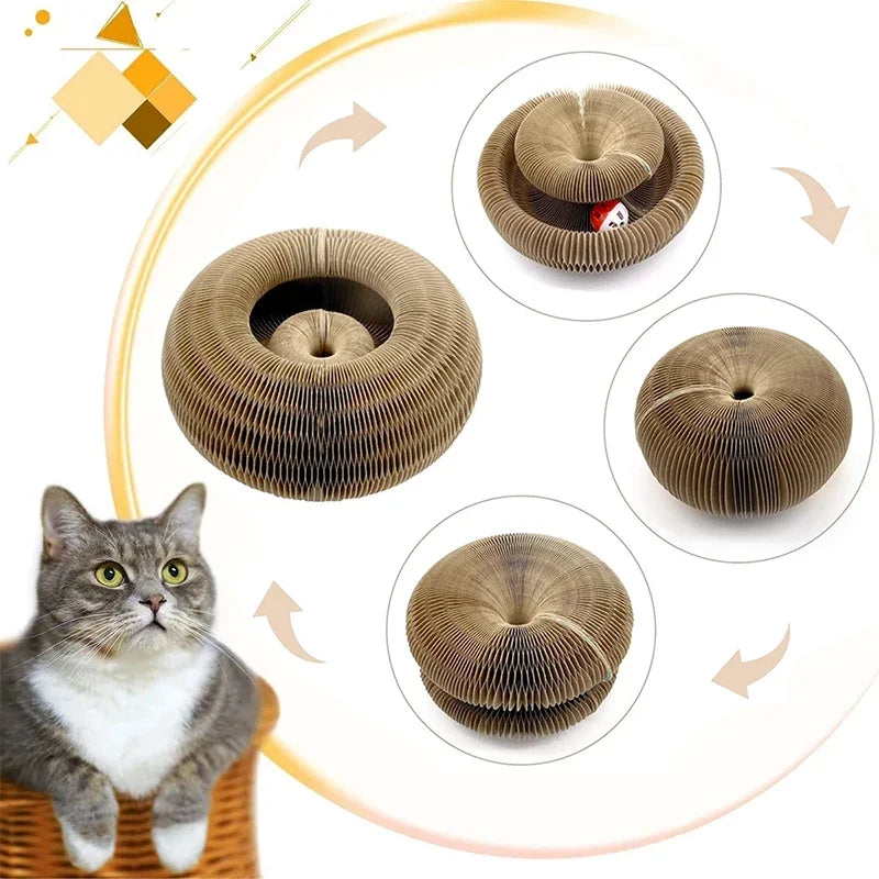 CatCurl