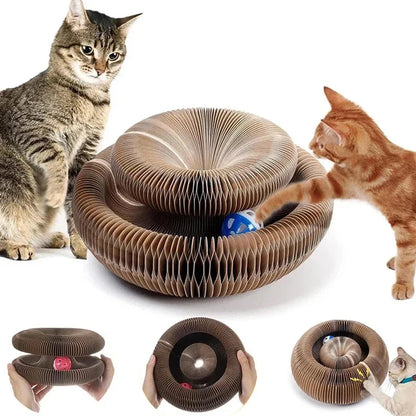 CatCurl