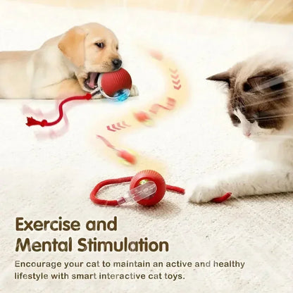New WhirlTail - Interactive Cat Toy