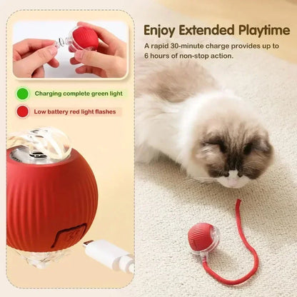 New WhirlTail - Interactive Cat Toy