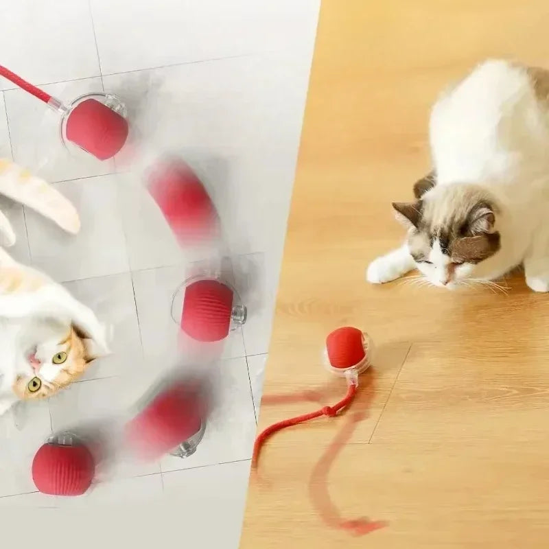 New WhirlTail - Interactive Cat Toy