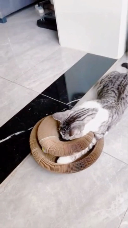 CatCurl