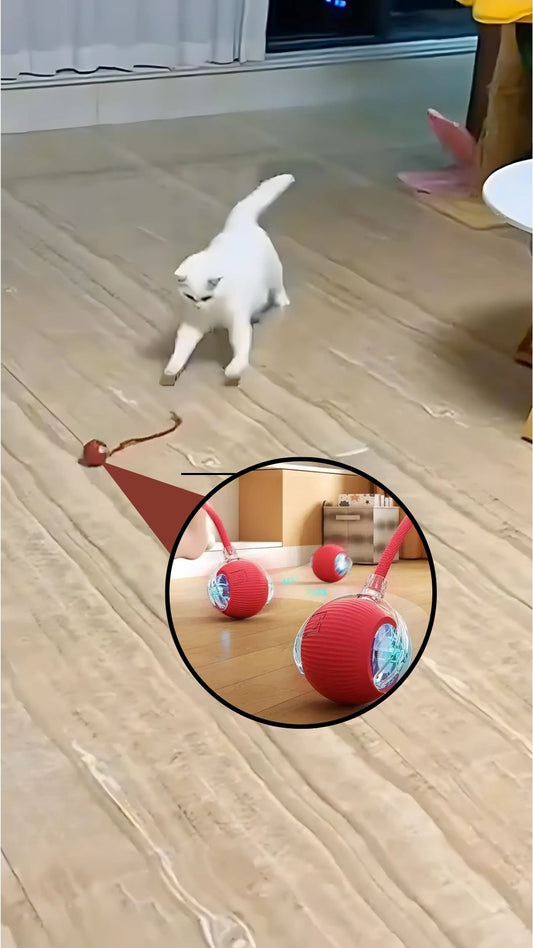 New WhirlTail - Interactive Cat Toy